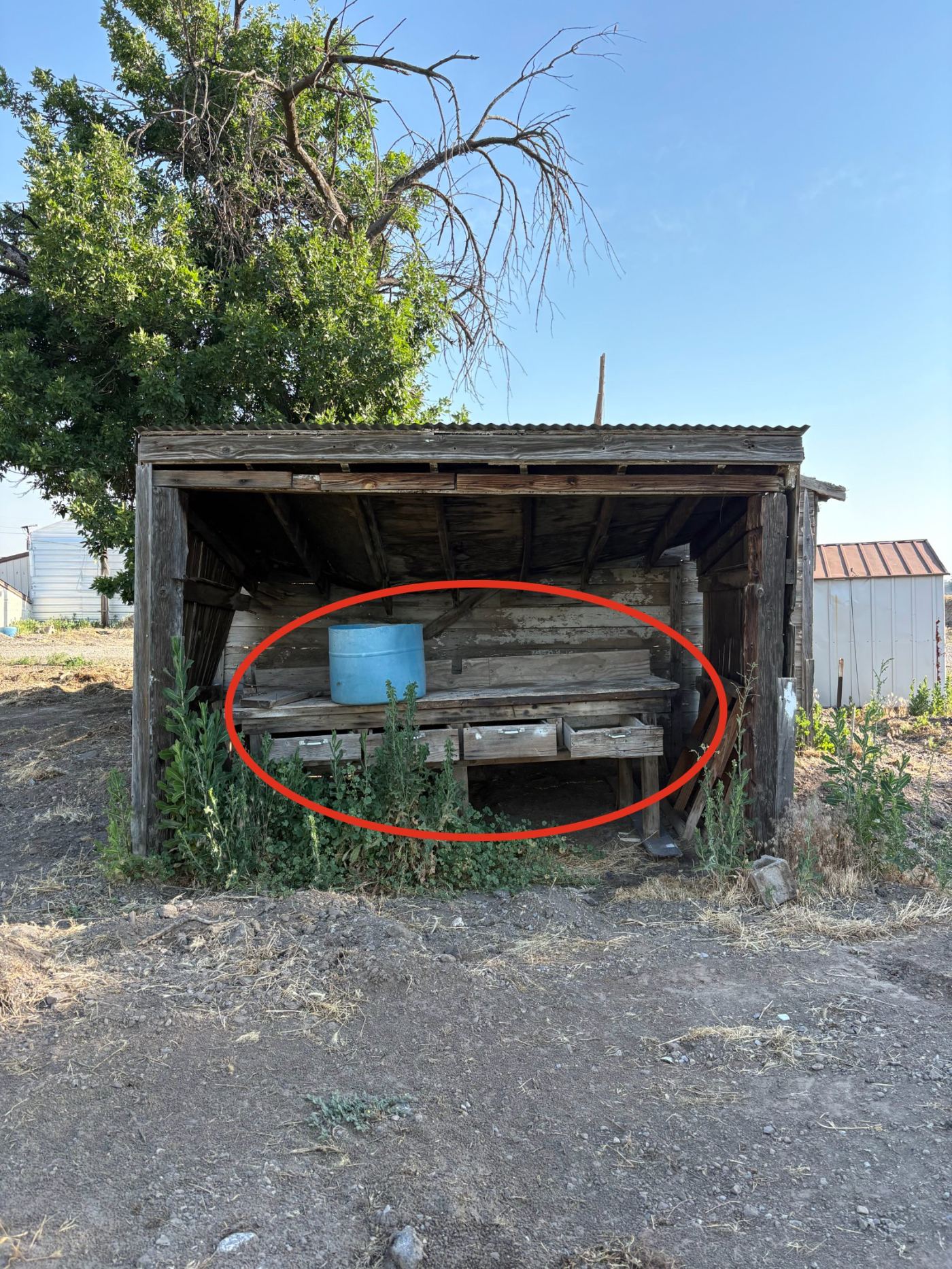 The rescued workbench, still in its shed, before restoration