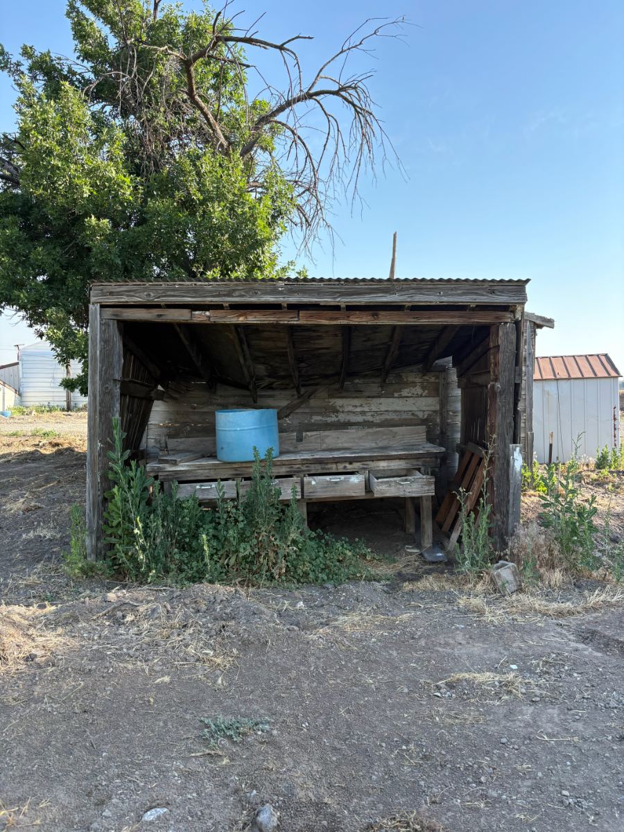 The weathered wooden shed and workbench that started Dave's Fish Stand, with a blue barrel and drawers